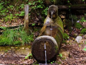 Cascate nel parco di Molina circondate da vegetazione lussureggiante in una giornata estiva.
