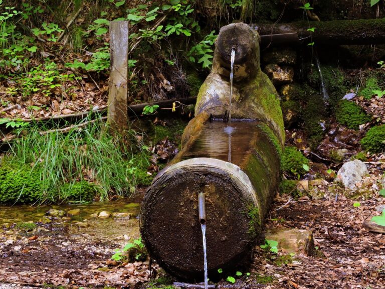 Cascate nel parco di Molina circondate da vegetazione lussureggiante in una giornata estiva.