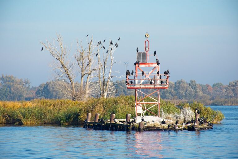 Escursione in barca nel Delta del Po, circondati da canneti e uccelli rari.