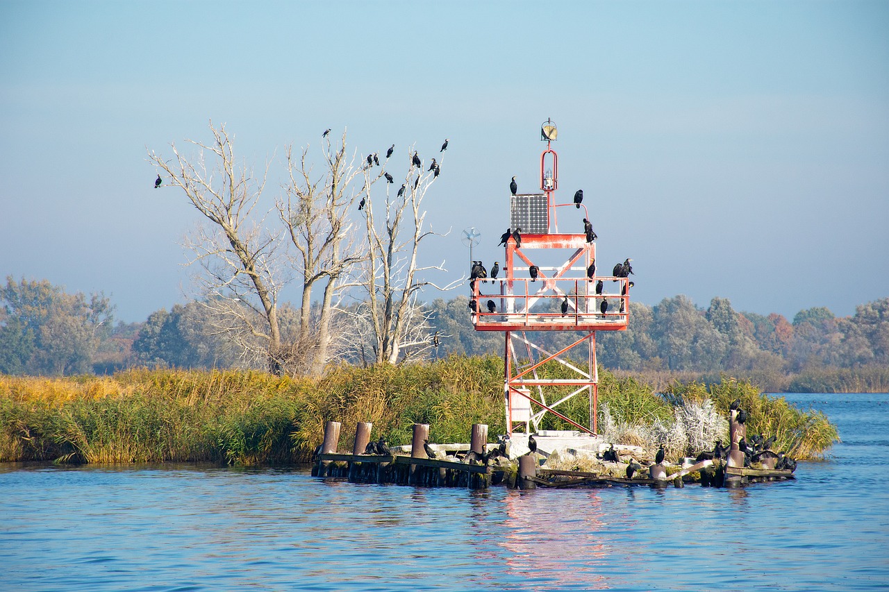 Escursione in barca nel Delta del Po, circondati da canneti e uccelli rari.