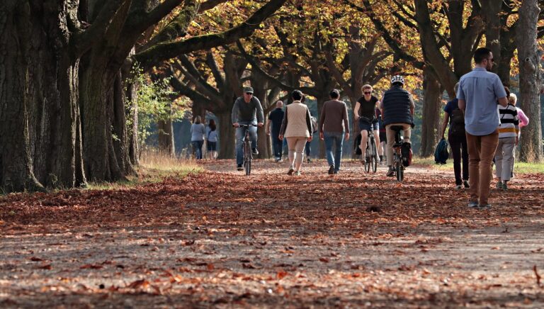 Vista panoramica del Parco di Monza con ciclisti che esplorano sentieri verdi e alberi maestosi.